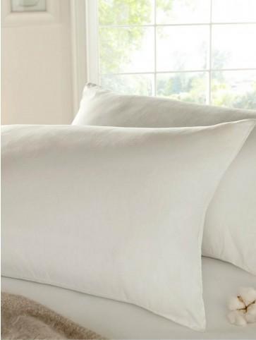Silentnight Egyptian Cotton Pillow 2 Pack Ponden Home